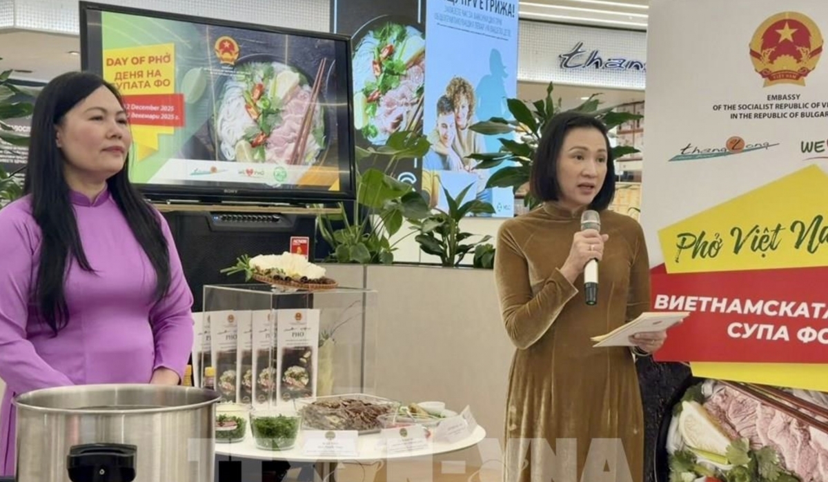 vietnamese pho spreads culinary culture across europe picture 2