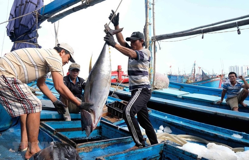 vietnam s aquatic sector on track to hit us 11 billion in exports picture 1