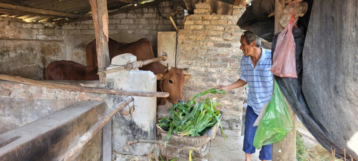 Tỷ lệ hộ nghèo của tỉnh Bắc Ninh giảm còn dưới 1%