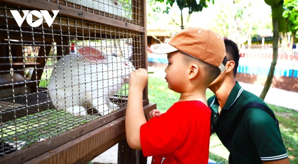 can tho gears up for 2025 river culture festival picture 14