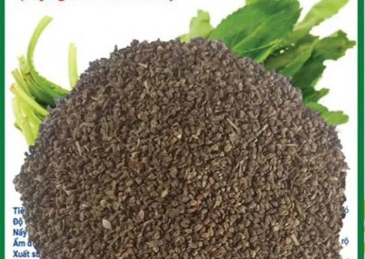 Ai bị mỡ máu cứ dùng hạt này, chỉ 5000 một nắm, từ lá đến rễ đều là thuốc quý