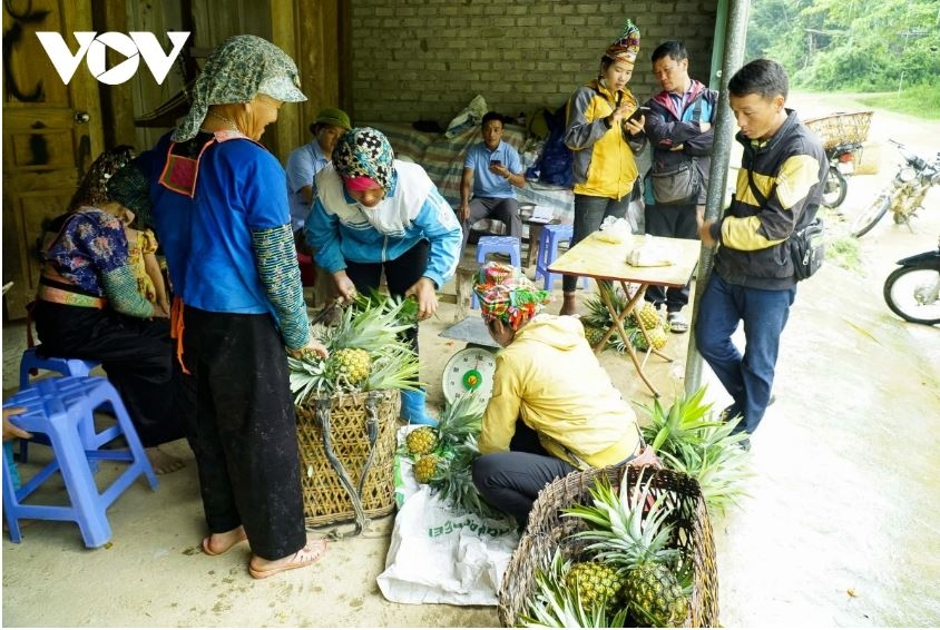 phat trien nong nghiep hang hoa nen tang de vung cao Dien bien thoat ngheo hinh anh 5