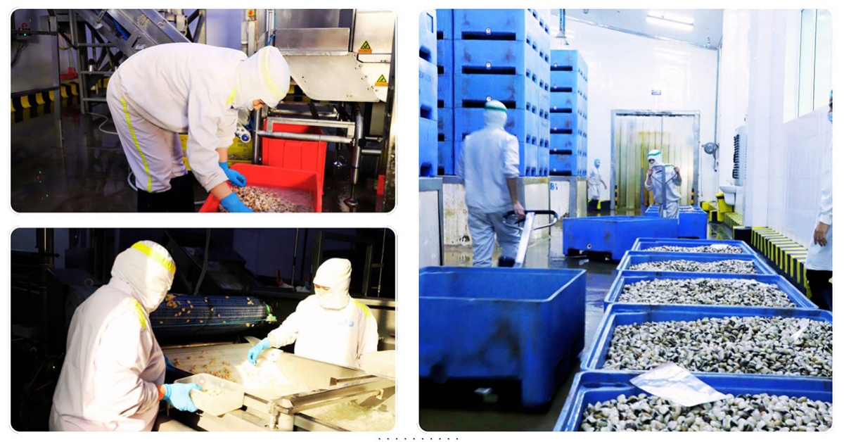 fisheries sector secures strong growth amid challenges in 2025 picture 4