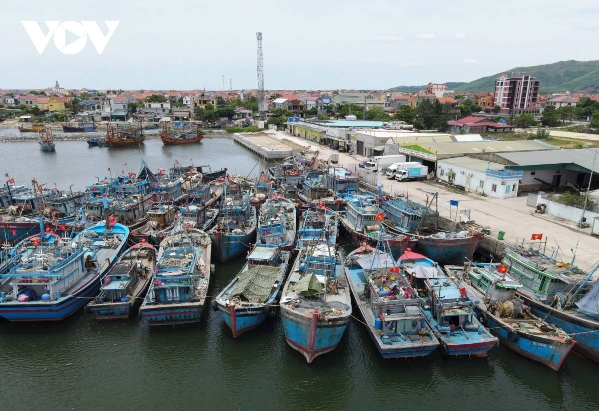 vietnam takes firmer stance on iuu fishing as it targets sustainable fisheries picture 4
