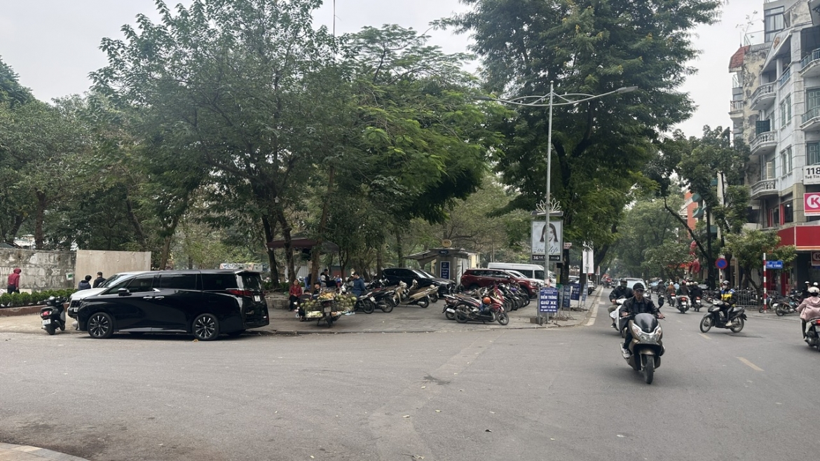 hoan tat ha rao toan bo cong vien thong nhat hinh anh 13