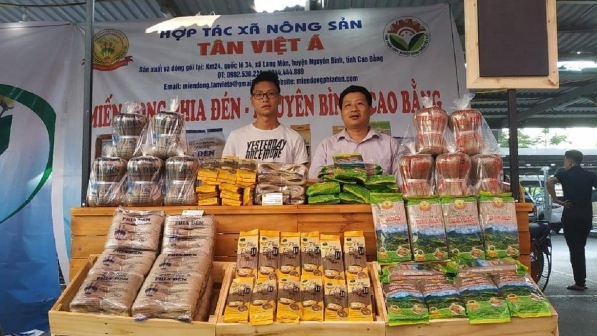 kinh te tap the, htx - chia khoa giam ngheo ben vung hinh anh 3