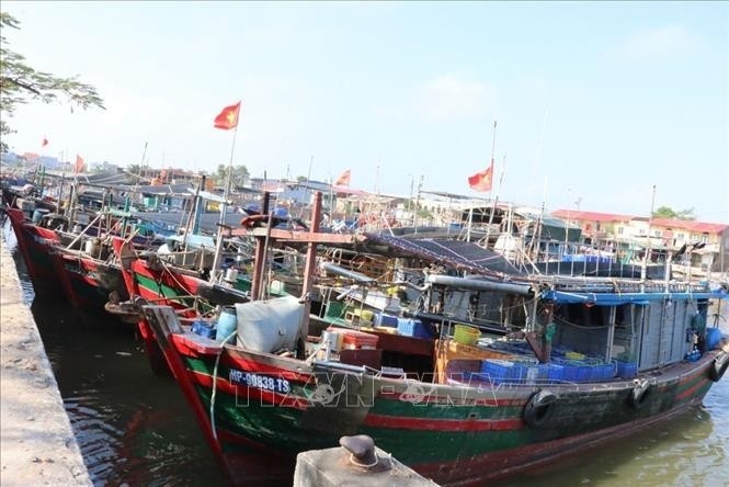 hai phong records positive progress in combating iuu fishing picture 1