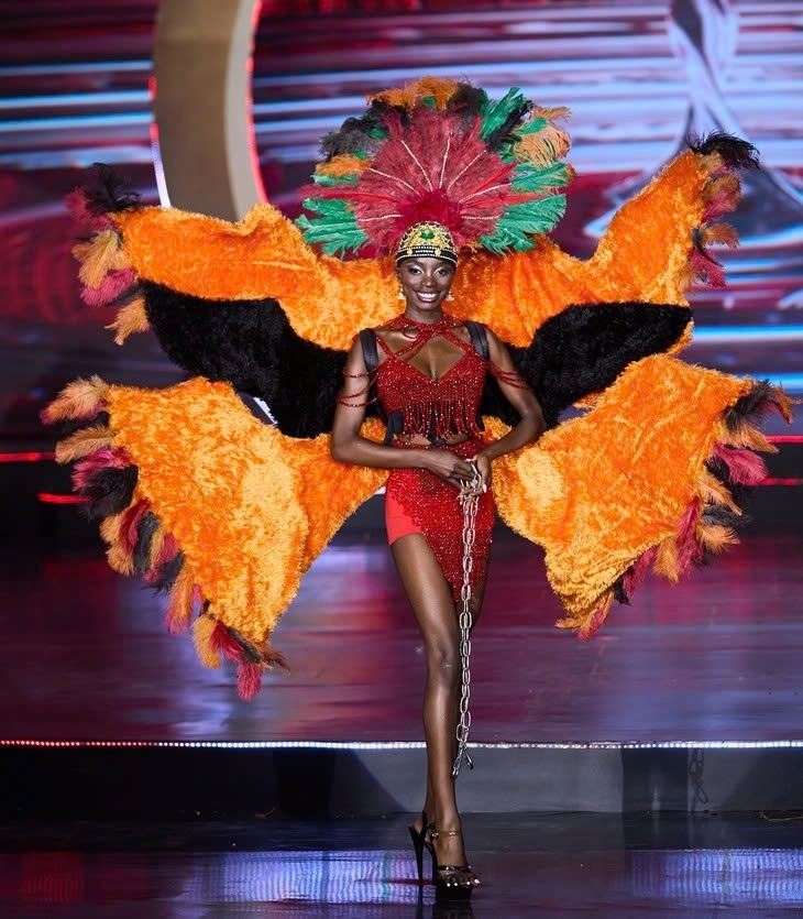 miss charm 2025 presents national costumes from around the world picture 2