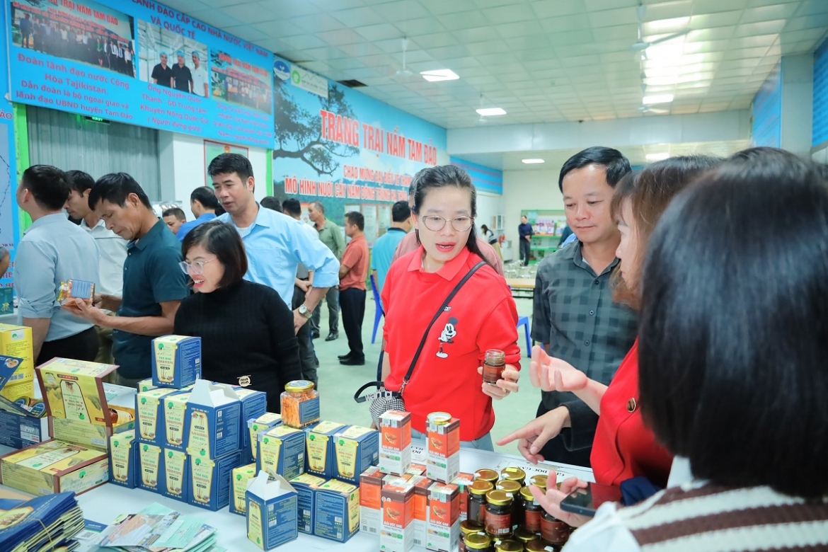 hop tac xa lien ket san xuat mo loi thoat ngheo hinh anh 2