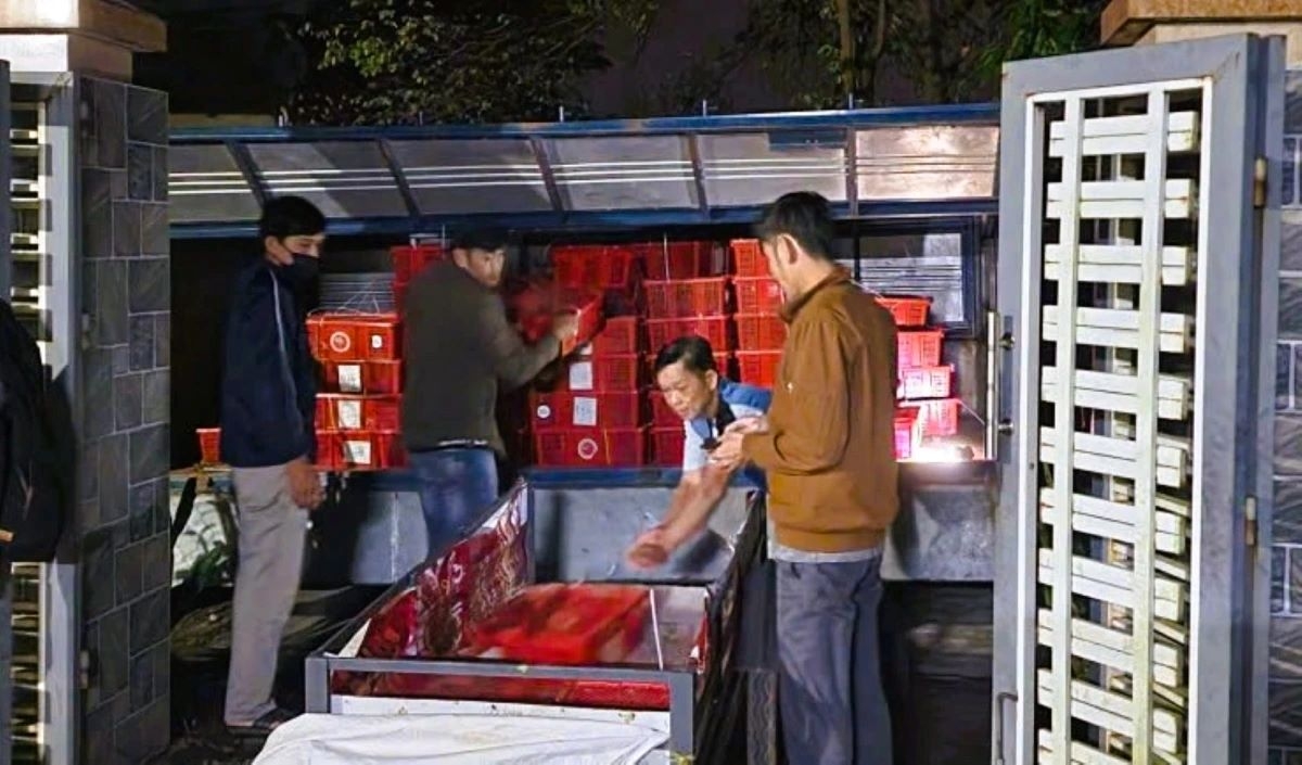 Nearly a tonne of cobras seized in illegal transport from Laos to Vietnam