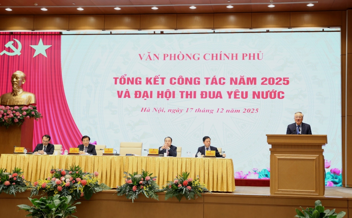 tham muu hieu qua phuc vu chi dao, dieu hanh cua chinh phu hinh anh 2
