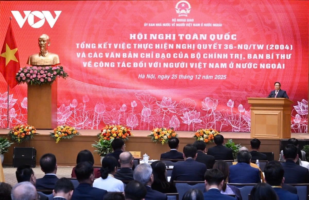 overseas vietnamese affairs set for major breakthroughs, says pm picture 1