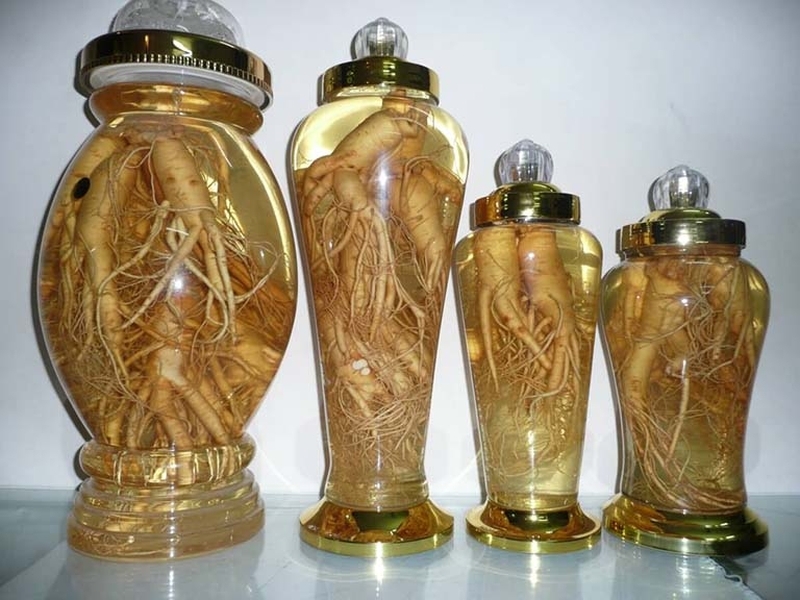 Bí quyết ngâm rượu đinh lăng đúng cách để phát huy tối đa công dụng