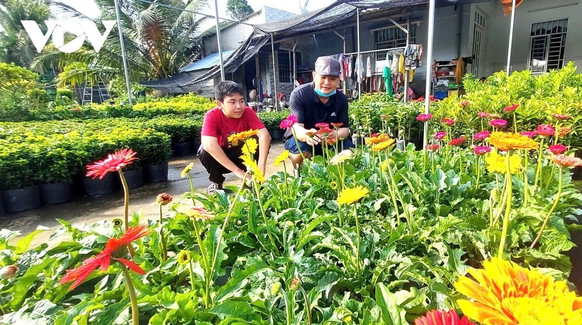 vibrant blooms take centre stage at sa dec flower festival picture 10