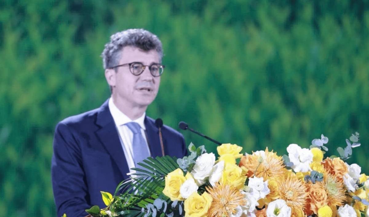 thai nguyen tea testival honours vietnamese tea culture picture 2