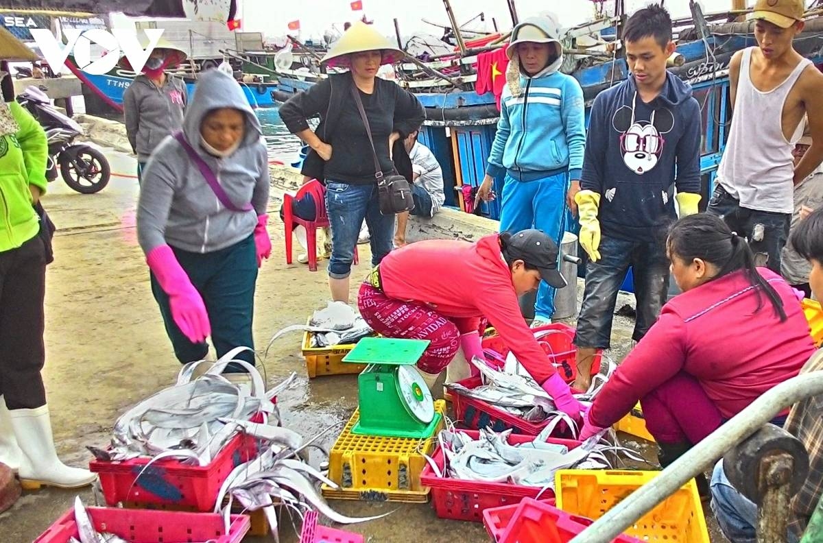 vietnam takes firmer stance on iuu fishing as it targets sustainable fisheries picture 7