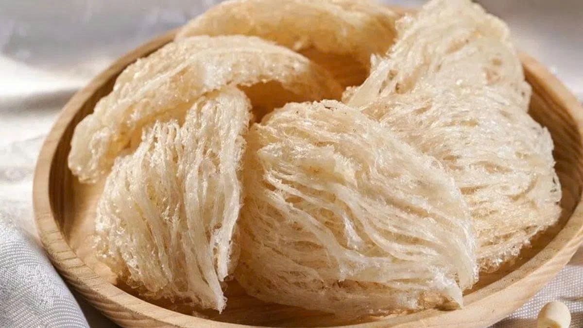 Vì sao tổ yến được nhiều người săn tìm để bồi bổ cơ thể?