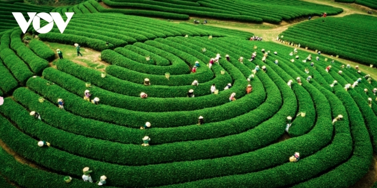 top vietnamese tourist destinations make international headlines in 2025 picture 2