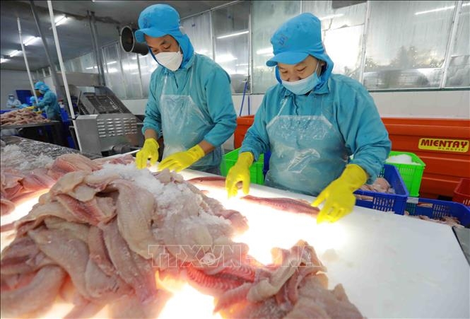 vietnamese aquatic products reach new markets picture 1