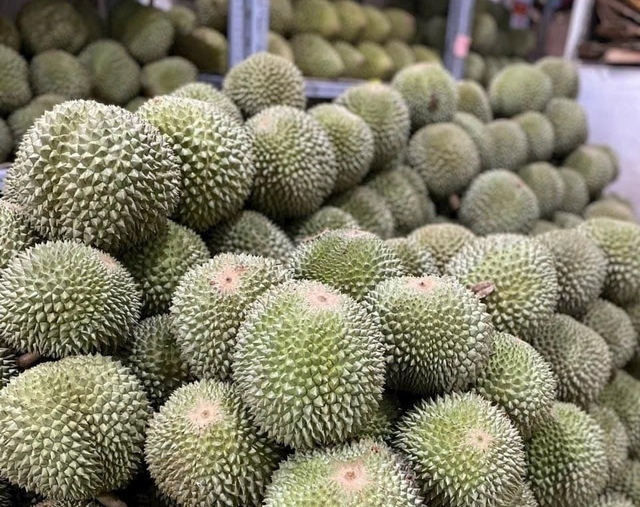 Loại quả "quý tộc" được trồng thành công tại Việt Nam