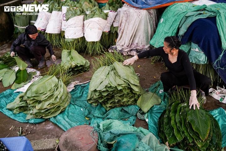 nhu cau dip tet tang dot bien, nguoi trong la dong hai tien moi tay hinh anh 10