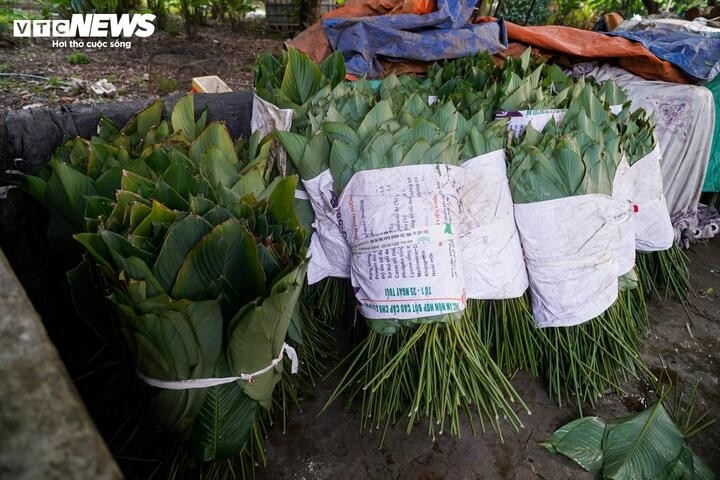 nhu cau dip tet tang dot bien, nguoi trong la dong hai tien moi tay hinh anh 11