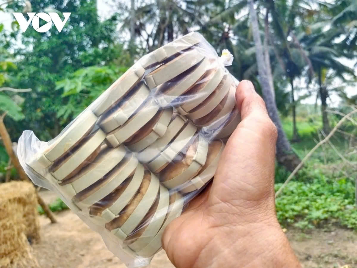 the hard life of toddy palm sugar makers in southern vietnam picture 12