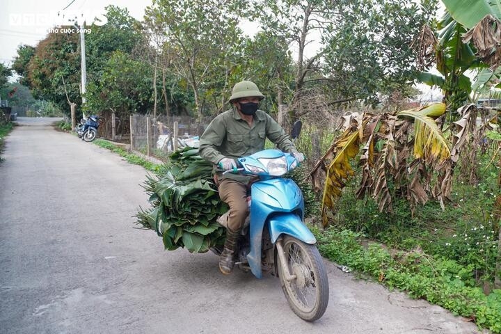 nhu cau dip tet tang dot bien, nguoi trong la dong hai tien moi tay hinh anh 12