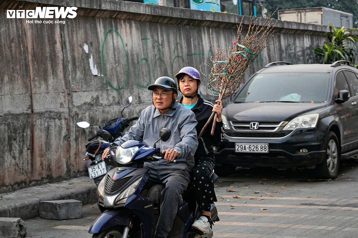 tet flower market opens early in hanoi as blooms arrive picture 14