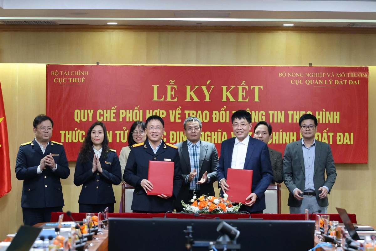 ket noi du lieu thue - dat dai thu tuc tai chinh ve dat sap de tho hinh anh 1