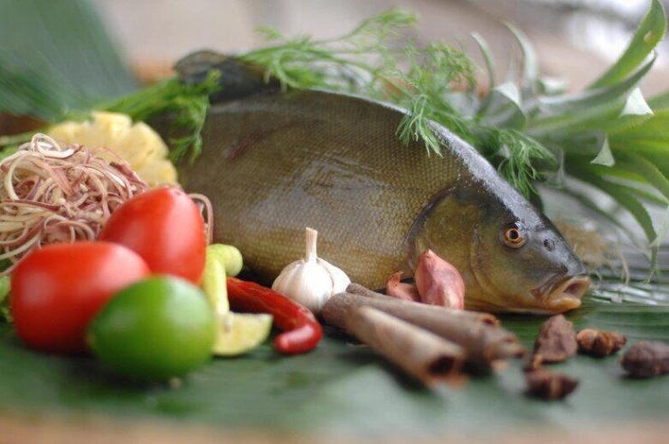 Lùng mua loại cá được ví như “thần hộ mệnh” của dạ dày