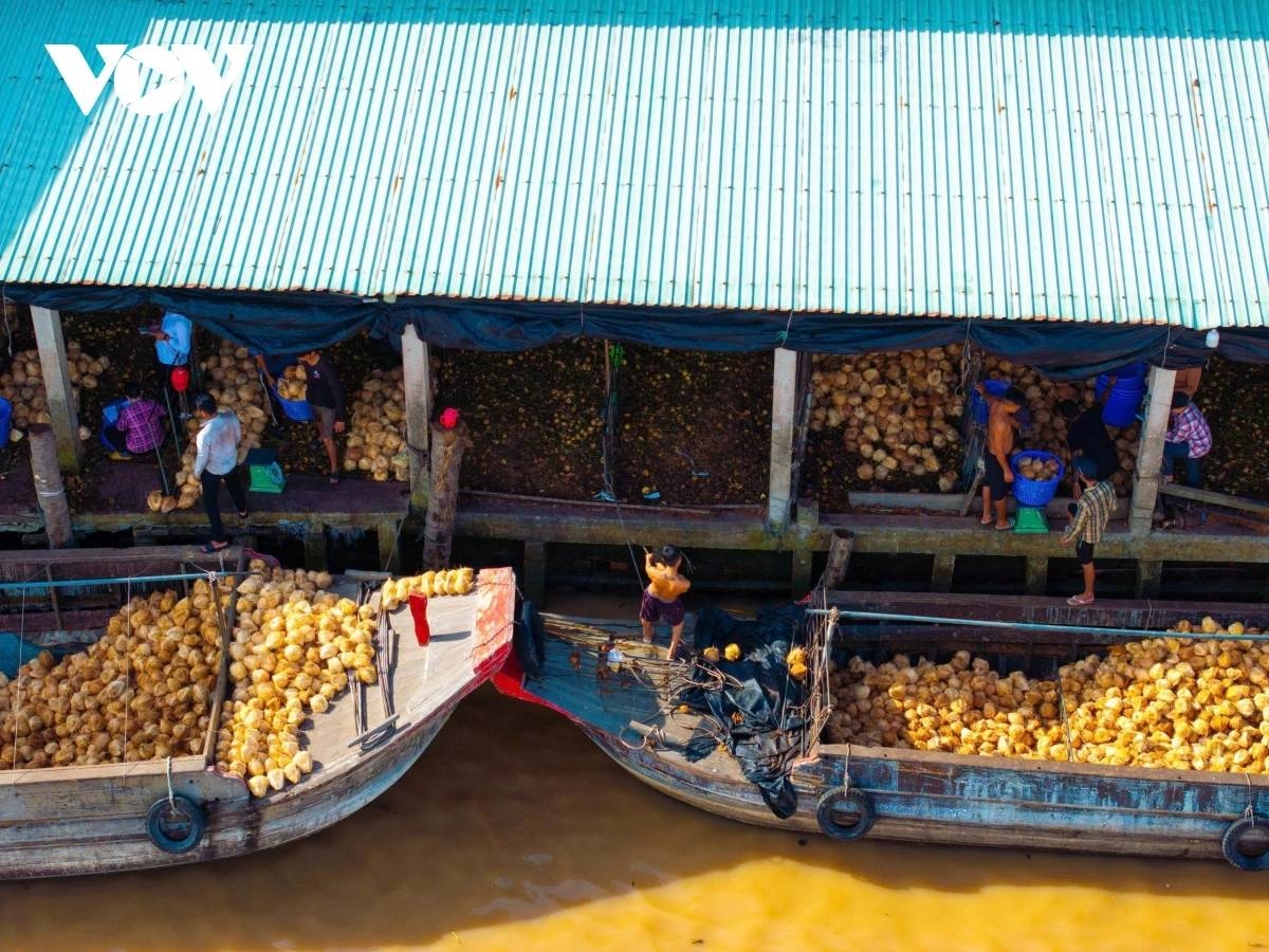 coconut fiber craft thrives along the banks of the thom river picture 2