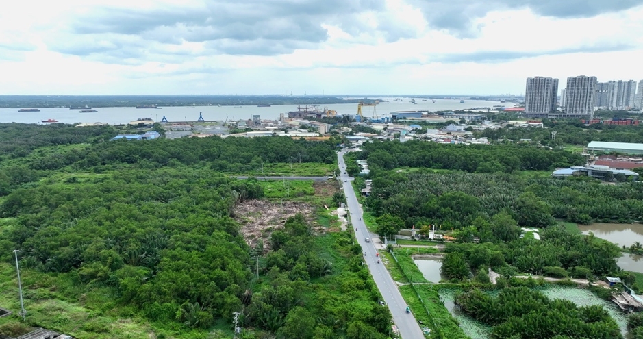 van phu dua dau an vi nhan sinh vao khong gian moi tai tp.hcm hinh anh 2