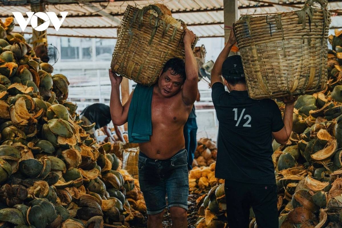 coconut fiber craft thrives along the banks of the thom river picture 4