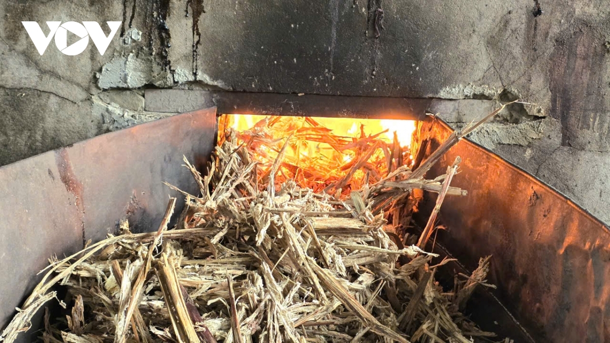 molasses hub enters peak season ahead of lunar new year picture 4