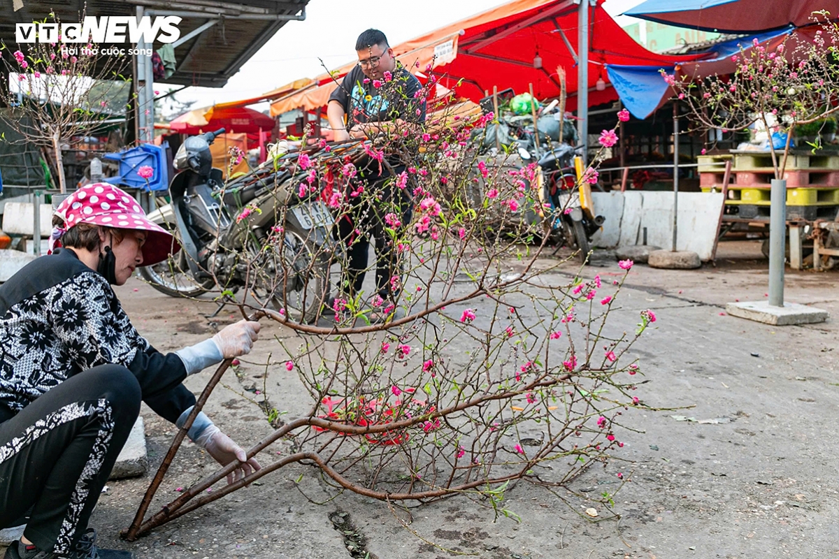tet flower market opens early in hanoi as blooms arrive picture 4