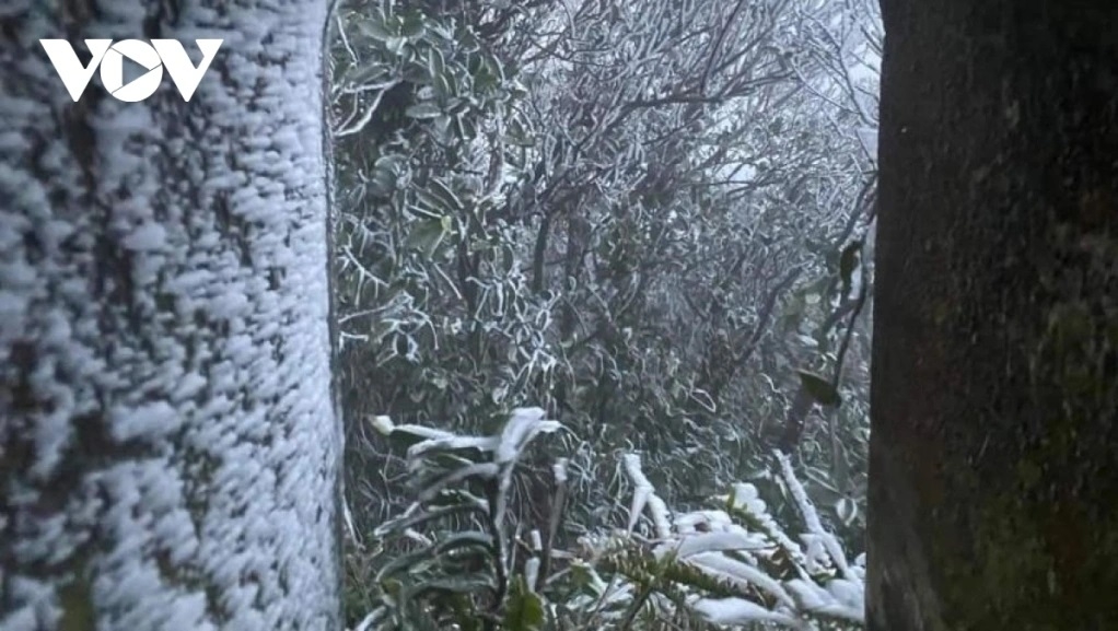 khong khi lanh tang cuong tien sat bac bo hinh anh 1