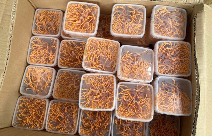 Dong trung ha thao 350.000 dong kg gia re bat thuong, chat luong kho kiem soat hinh anh 2