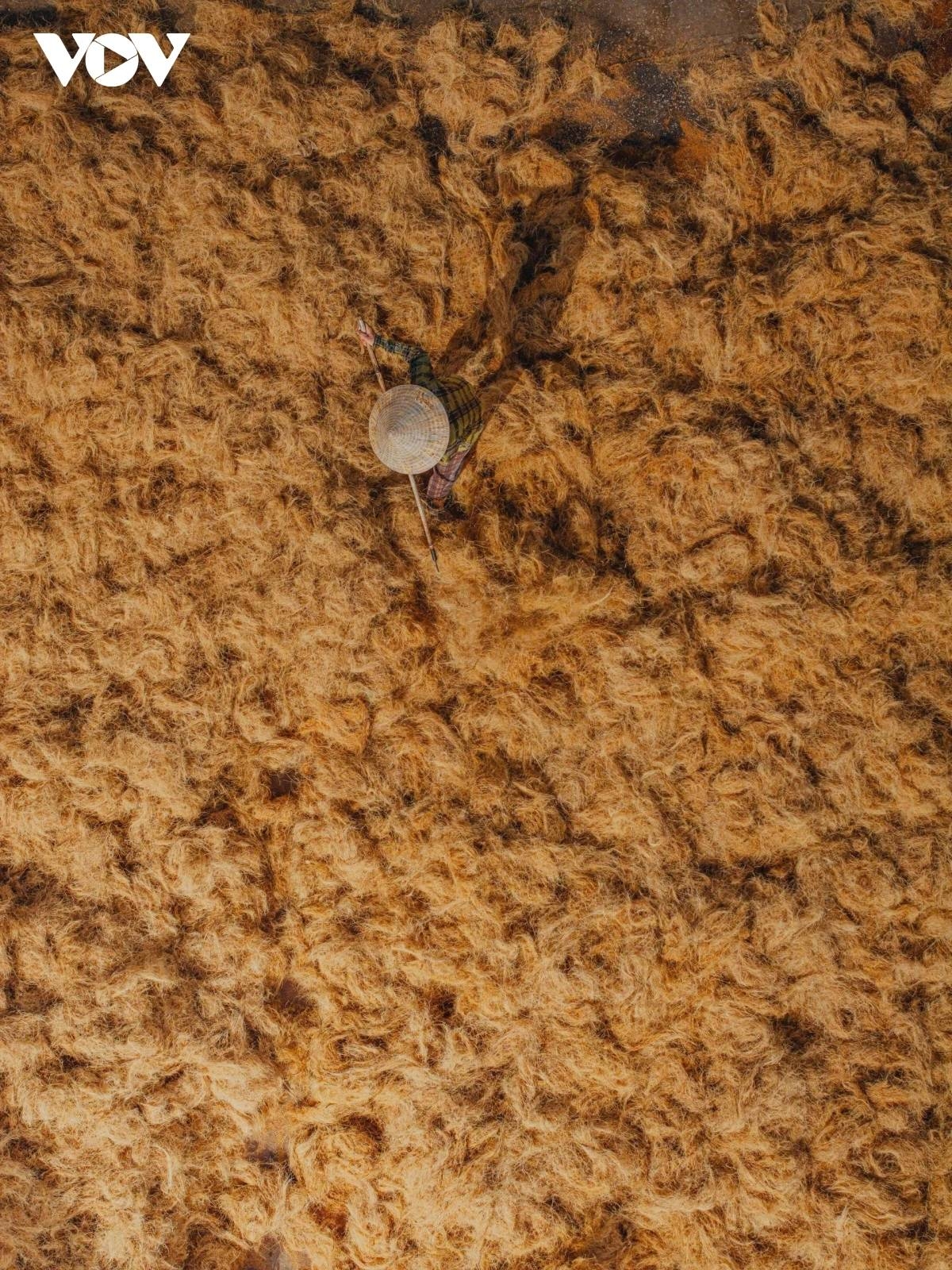 coconut fiber craft thrives along the banks of the thom river picture 7