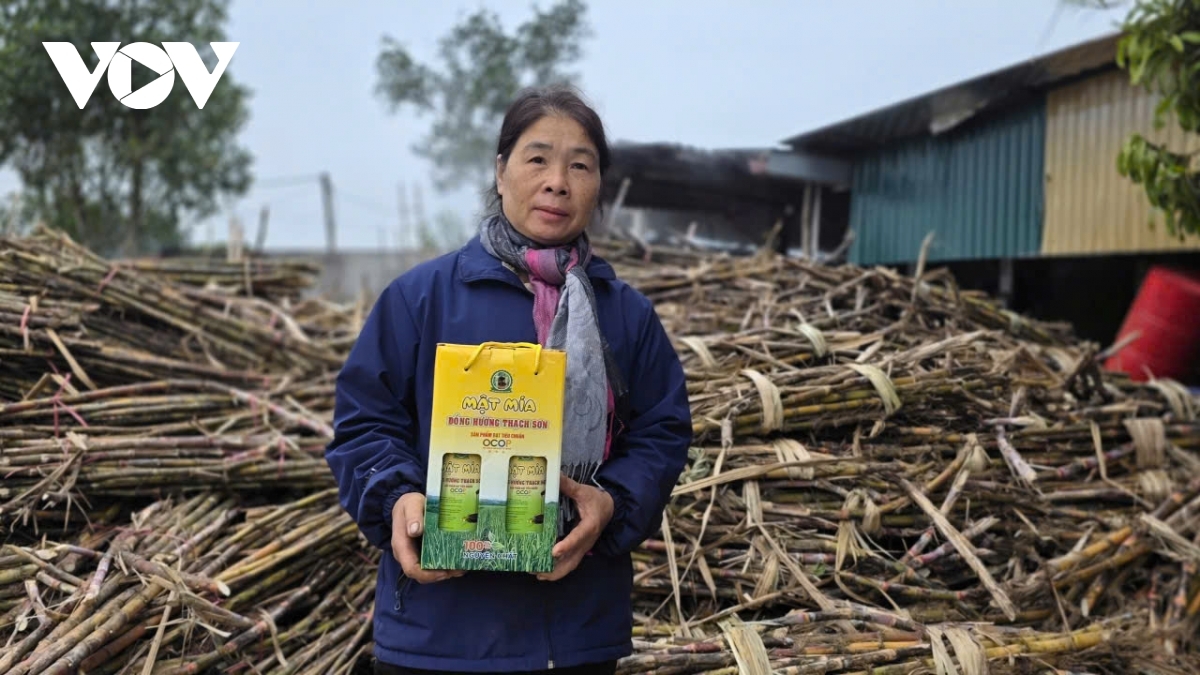 molasses hub enters peak season ahead of lunar new year picture 9