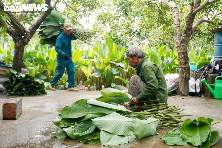 nhu cau dip tet tang dot bien, nguoi trong la dong hai tien moi tay hinh anh 9