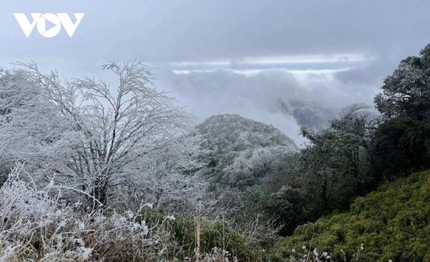 northern vietnam sees coldest spell since start of winter, lows even hit 0.2 c picture 2