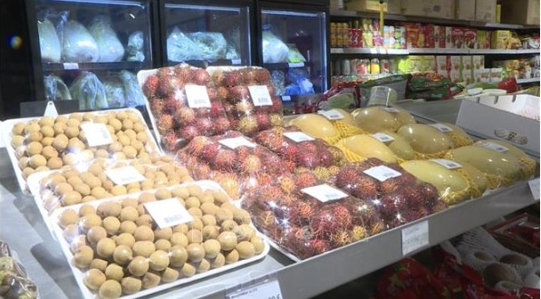 vietnamese goods prepared for lunar new year shopping season in france picture 1