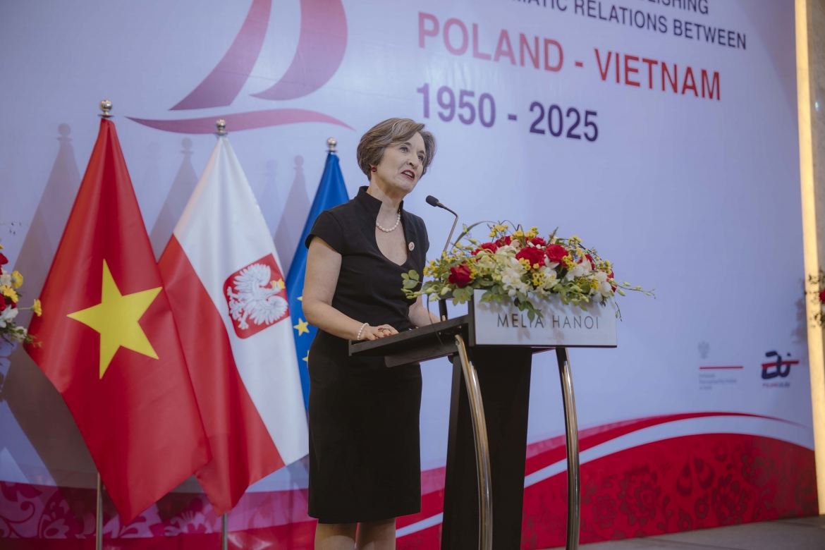 Dai su ba lan viet nam On dinh vuon minh coi mo sau Dai hoi xiv hinh anh 1