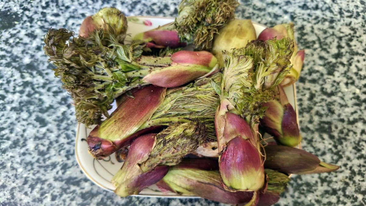 Rau dại ở Việt Nam được thế giới coi là cao lương mỹ vị, giá 400.000 đồng/kg