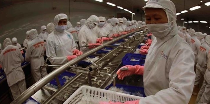 Vietnam builds sustainable supply chain in multipolar trade order: expert