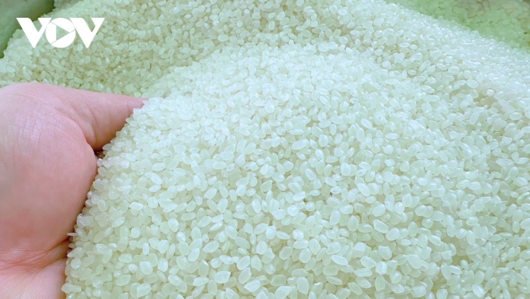 Low-emission rice seen as pathway to strengthen Vietnamese rice brand