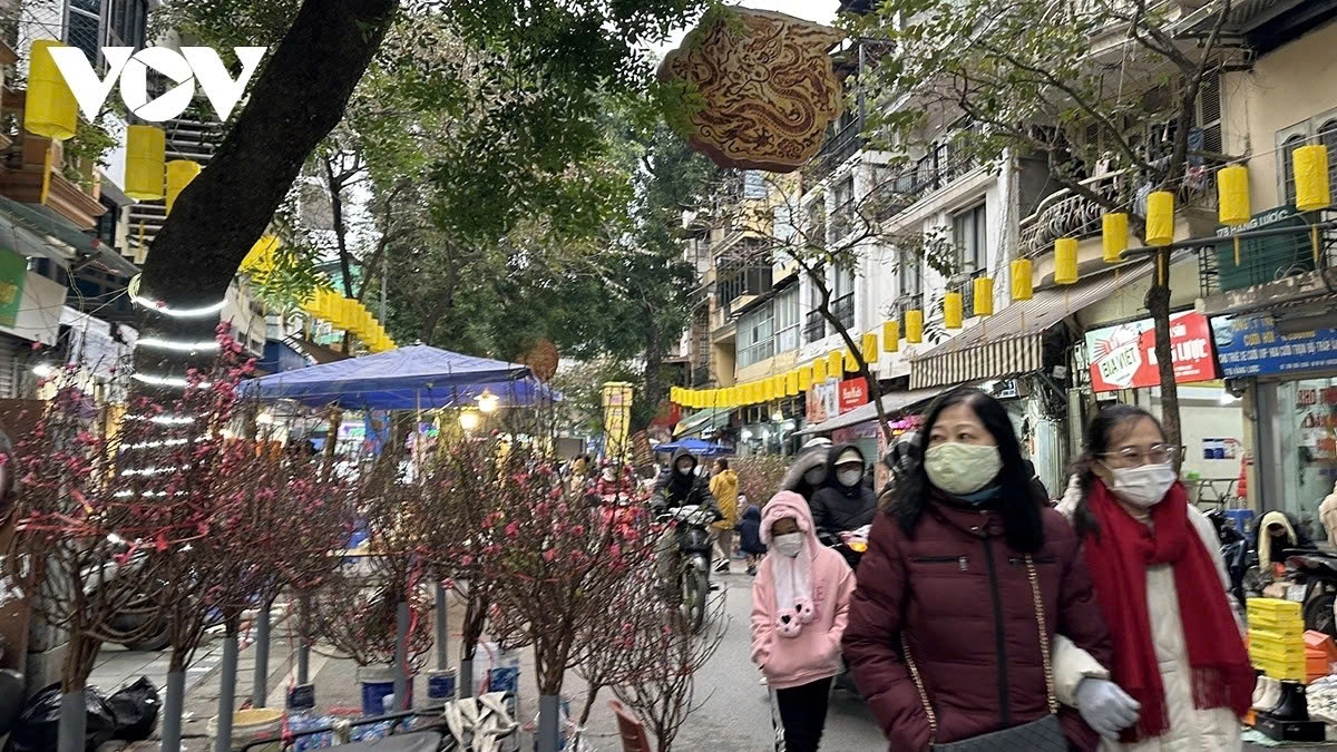 lunar new year holiday may see severe cold spell in vietnam picture 1