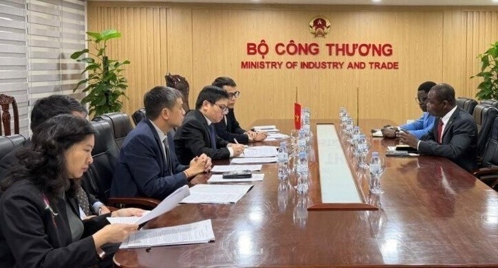 vietnam, burkina faso look to strengthen trade, economic cooperation picture 1