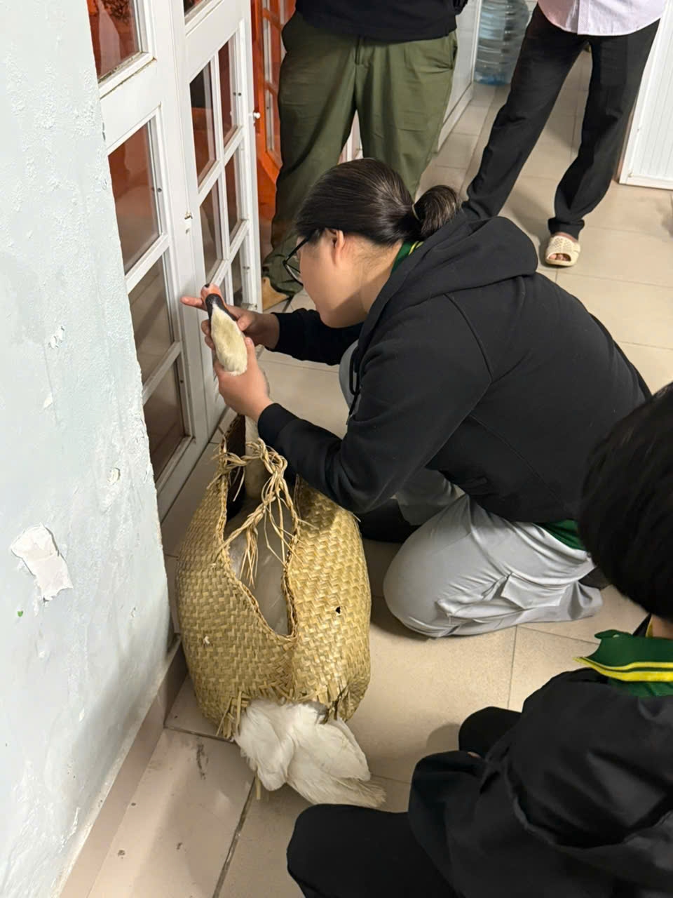 giai cuu thien nga trang bi bat trom o thao cam vien sai gon, xu ly 2 doi tuong hinh anh 2